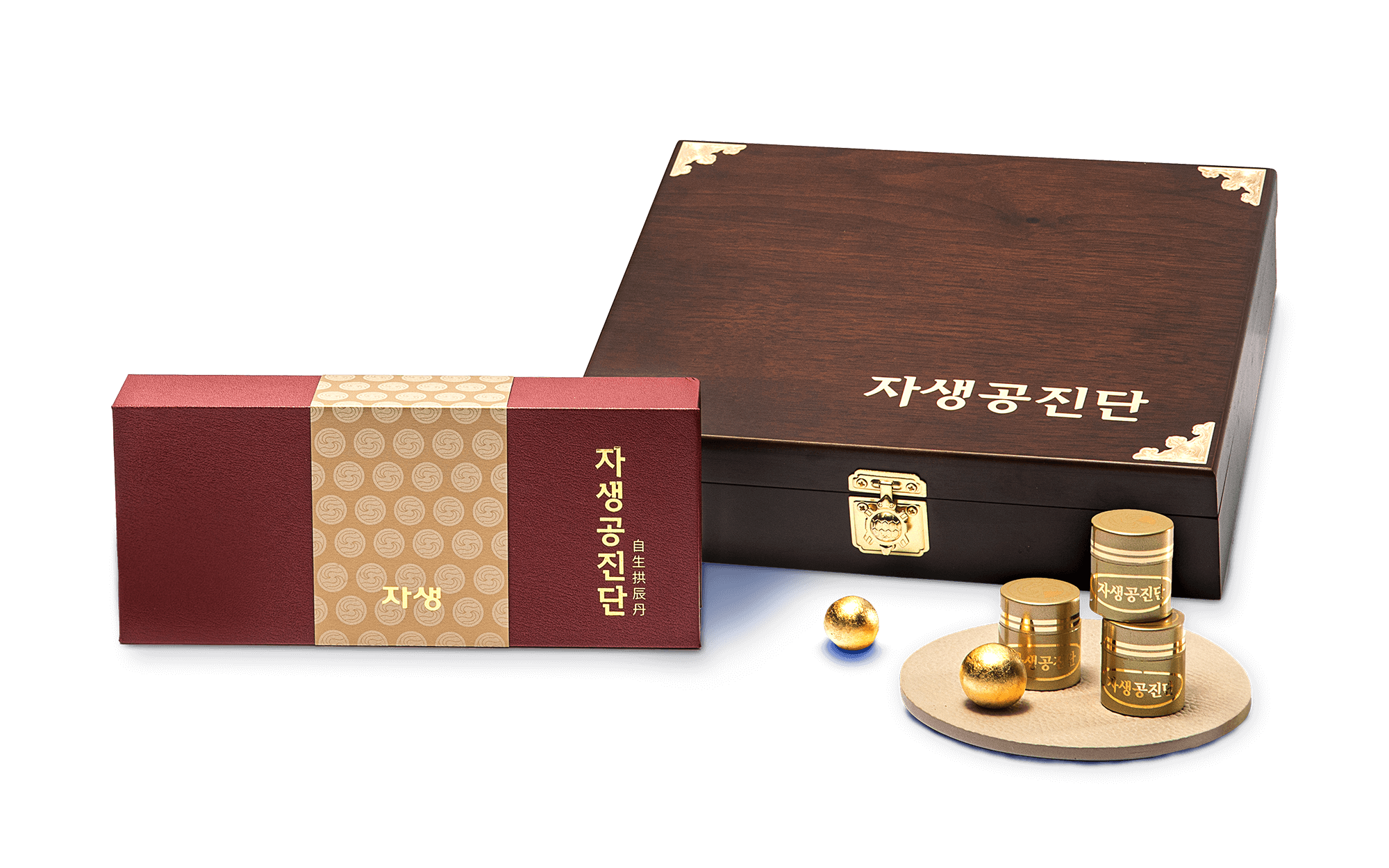 자생 공진단 제품 이미지