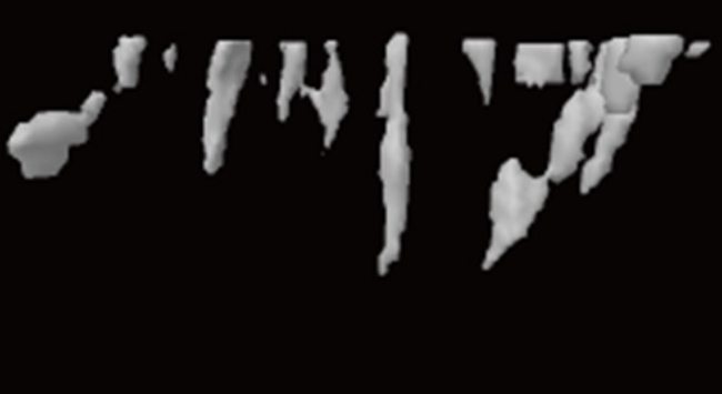 골다공증 유발 쥐 엑스레이