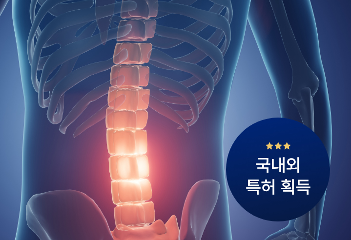 척추 부위를 강조한 의학적 일러스트