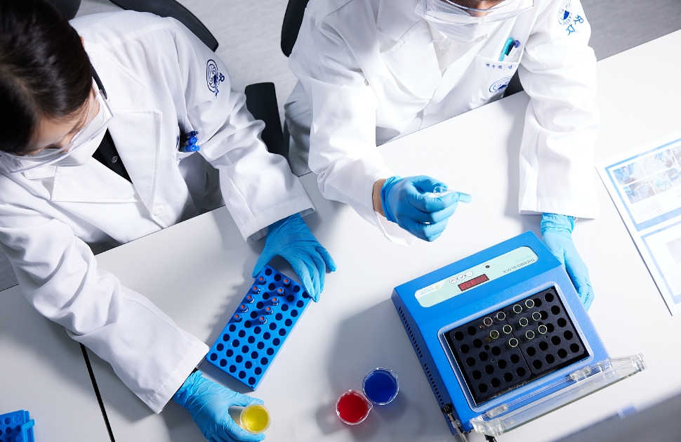 연구자가 실험 도구를 다루는 연구실 장면